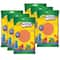 Crayola® Model Magic® 4oz. Terra Cotta Modeling Compound, 6ct.